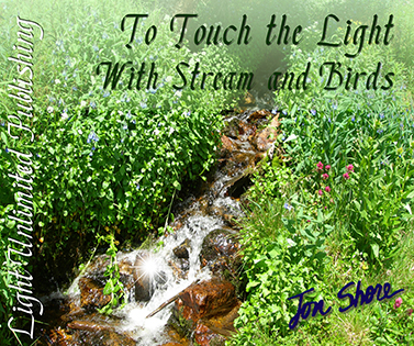 To Touch the Light with Stream and Birds by Jon Shore